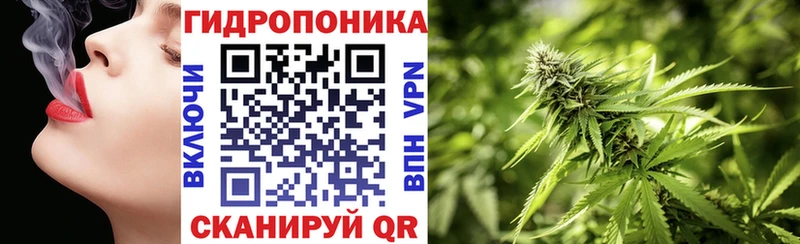 Купить ГАШ  Кокаин  A PVP  Конопля  МЕФ  Кировск