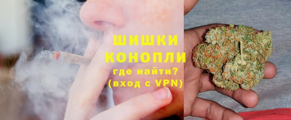 ГАЛЛЮЦИНОГЕННЫЕ ГРИБЫ Волосово