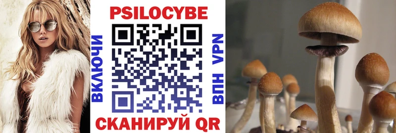 Галлюциногенные грибы Magic Shrooms  Купить где  Кировск 